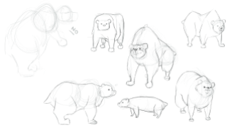 bear_body_shapes_two